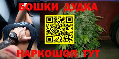шишки Нальчик