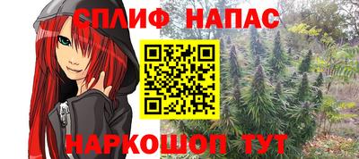 шишки Нальчик