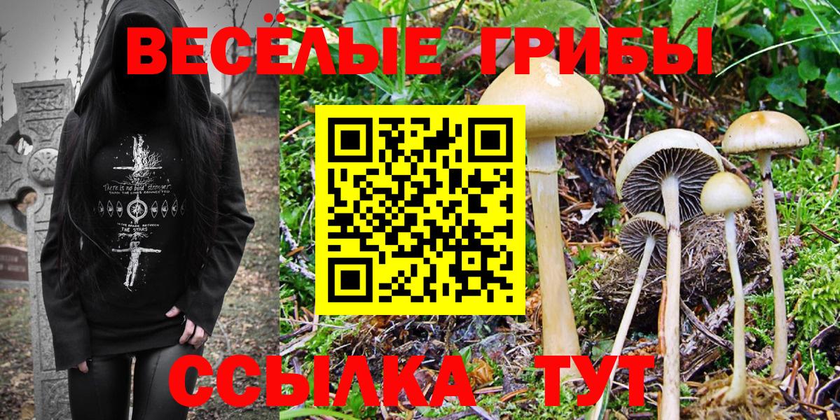 Псилоцибиновые грибы MAGIC MUSHROOMS Вичуга