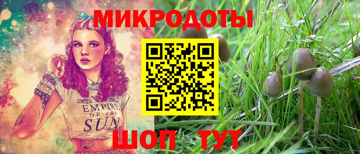 Вичуга  Галлюциногенные грибы GOLDEN TEACHER  Вход с VPN 